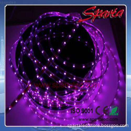 smd5050/2835 led strip light 220V/110V